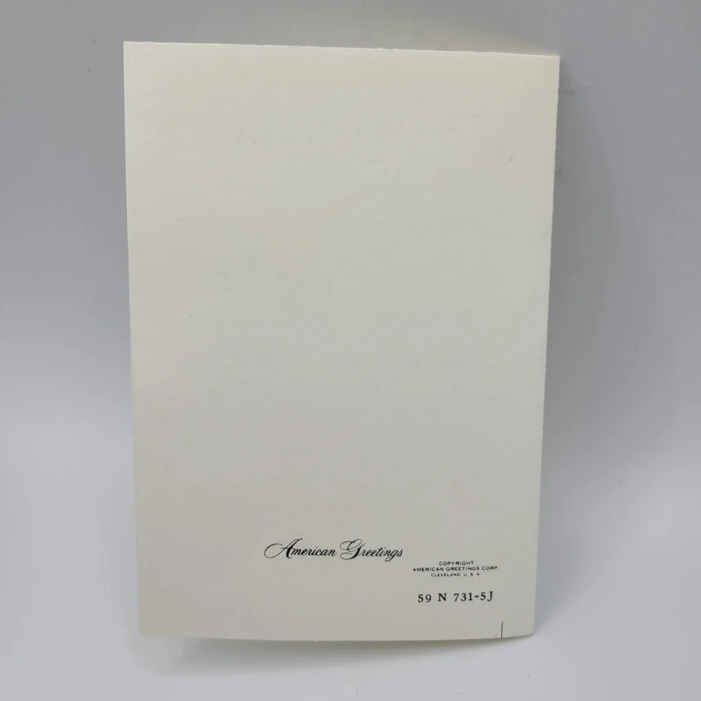 Vintage Ambassador Cards Baby Announcement Card Set‎ of 7 Safari Baby Boy Boxed